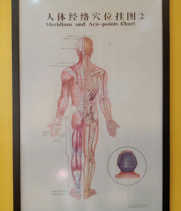 5 Elements景点图片