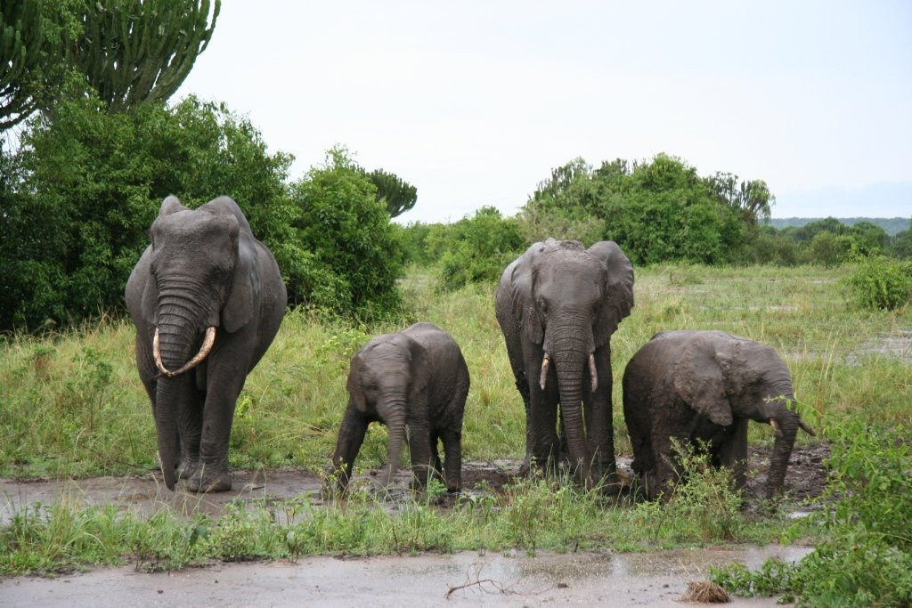 Exclusive African Safaris景点图片