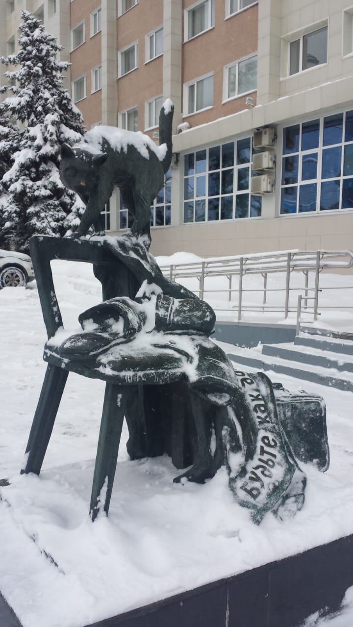 Hotel Saransk-portrait