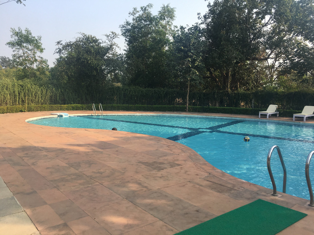 奇旺丛林旅馆主图