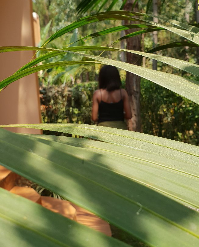 Saltek Forest Cottages主图