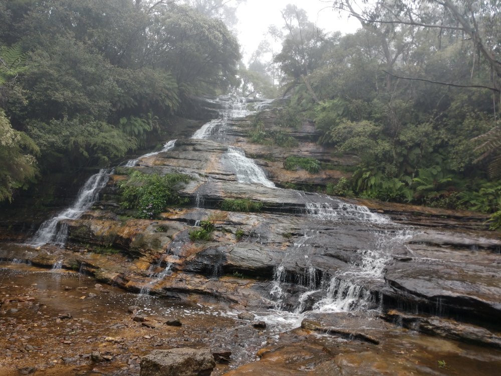 Dingo Tours-兰德威克必去景点