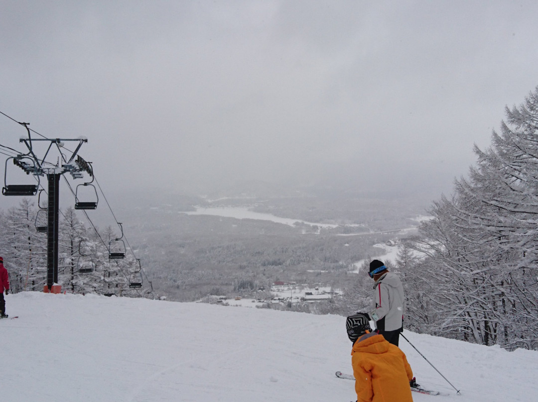 Kurohime Plateau Snow Park-信浓町 必去景点