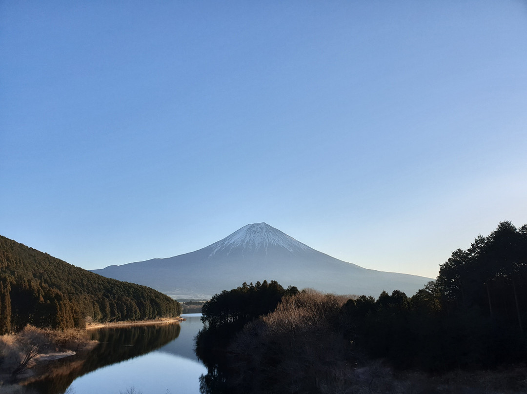 Lake Tanuki景点图片