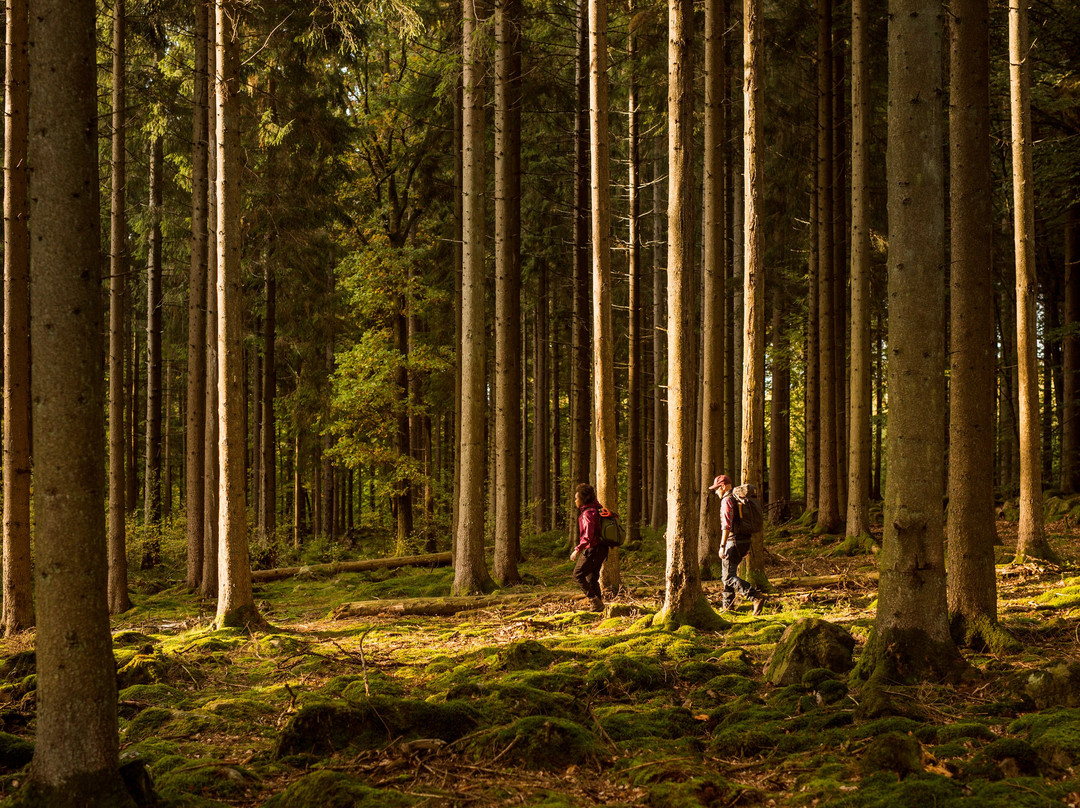 Skåneleden-斯科讷必去景点