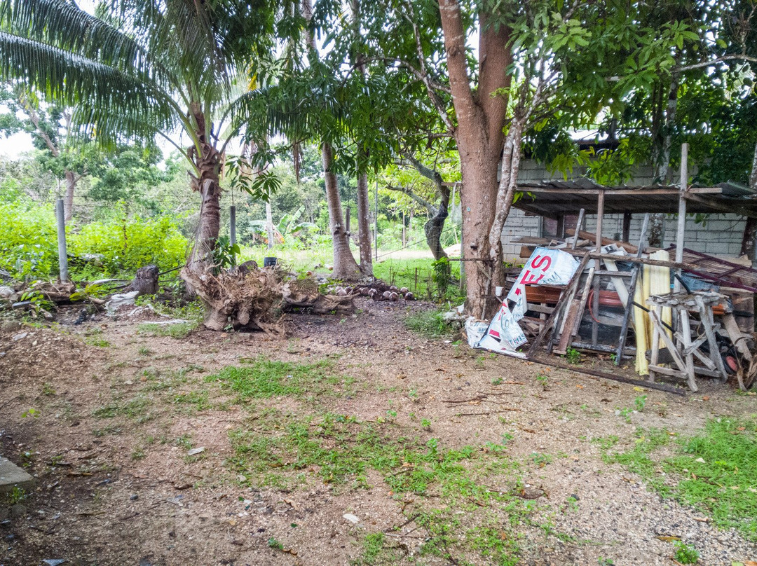 James Homestay主图