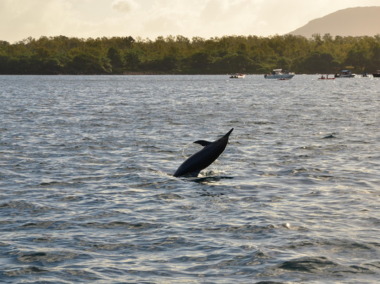 Itineris Ltd-路易士港必去景点