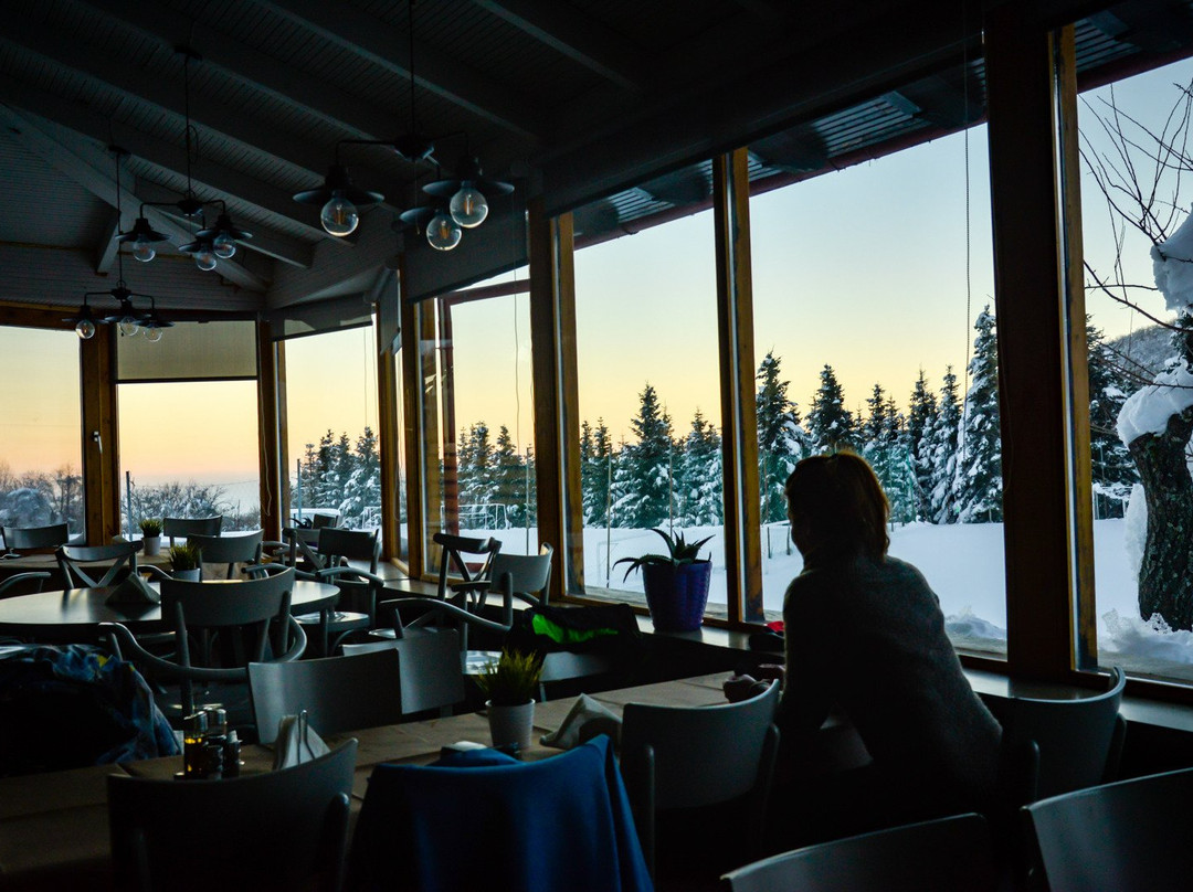 Naoussa Mountain Resort主图