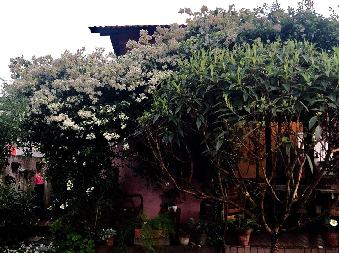 Pousada Vila Rosada主图