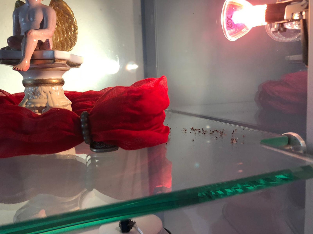 格兰德罗切酒店主图