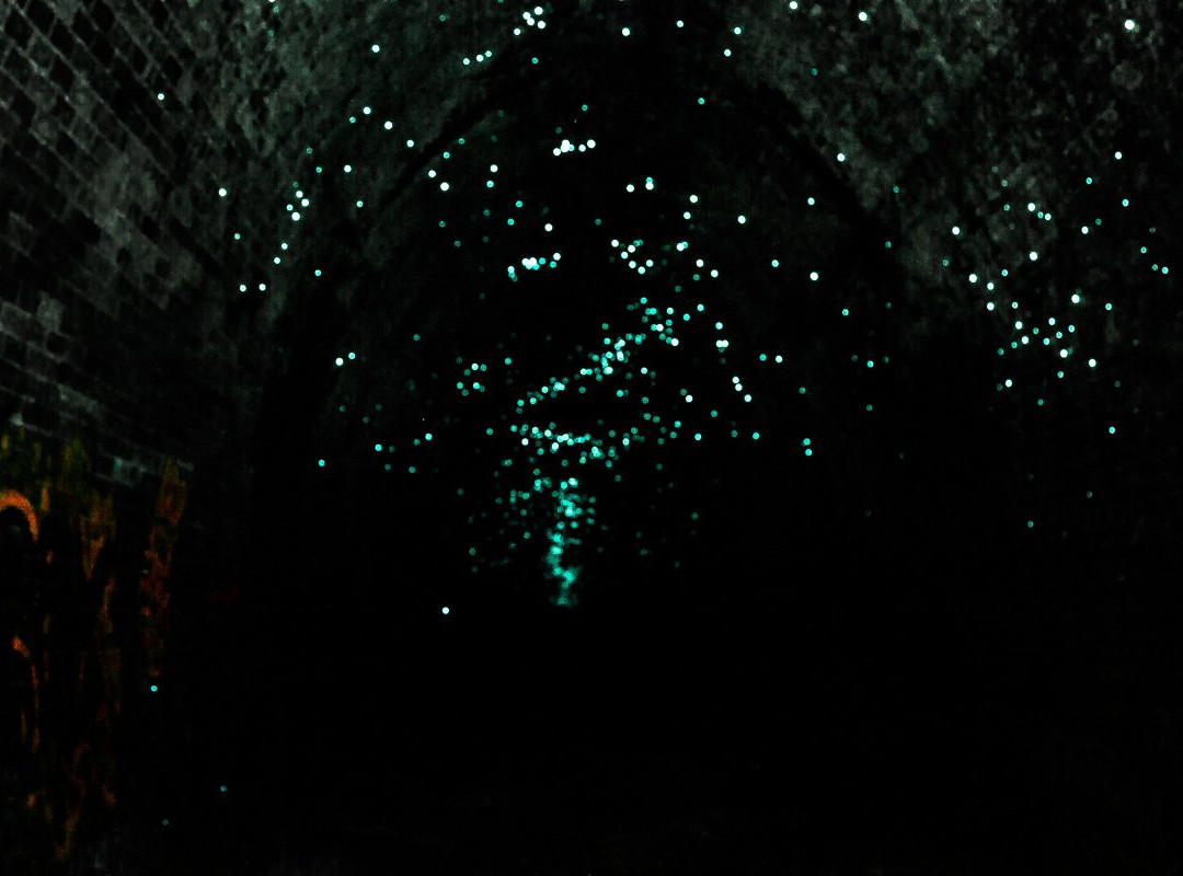 Old Helensburgh Station-海伦斯堡必去景点