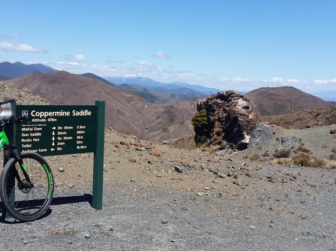 Dun Mountain Trail景点图片