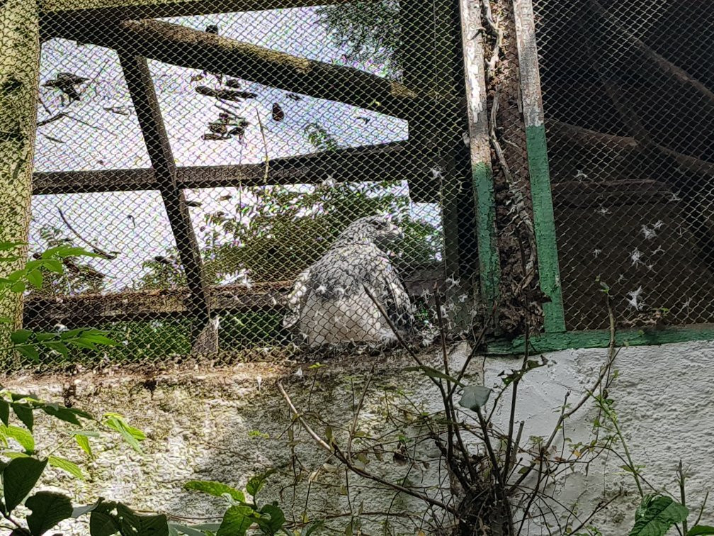Zoológico de Varginha景点图片