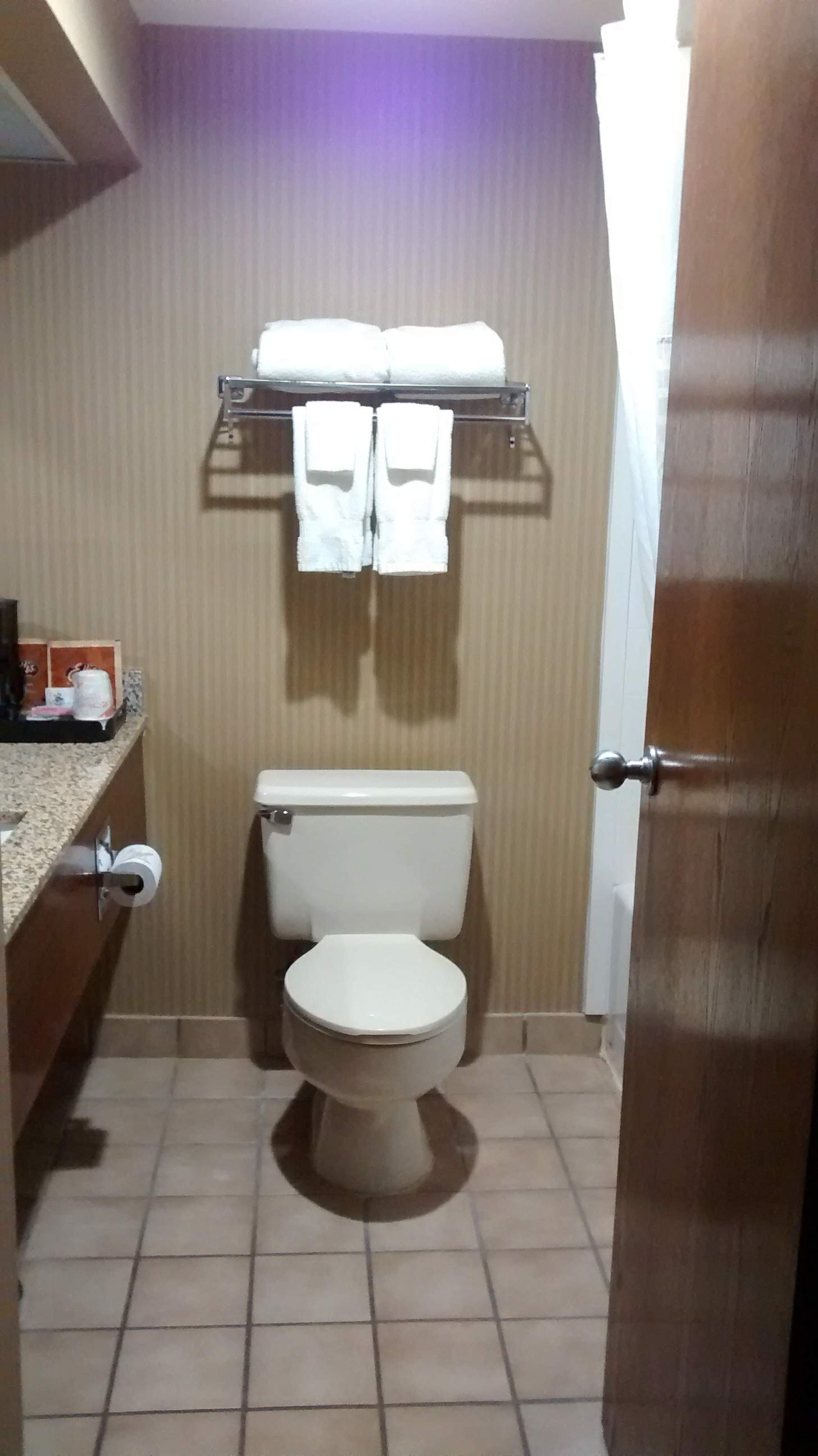 Clarion Inn & Suites - University Area-浴室
