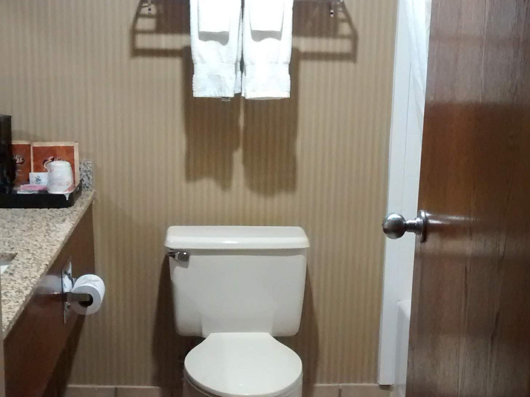 Clarion Inn & Suites - University Area主图