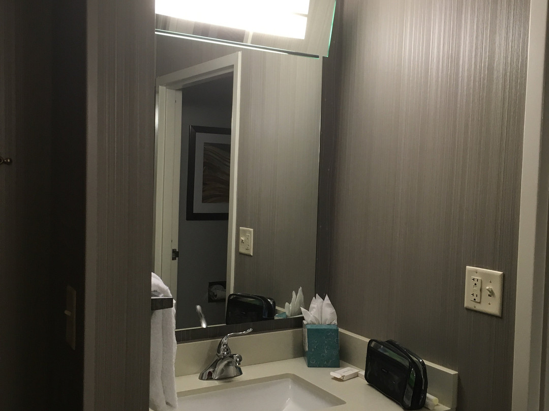 Courtyard by Marriott Springfield主图