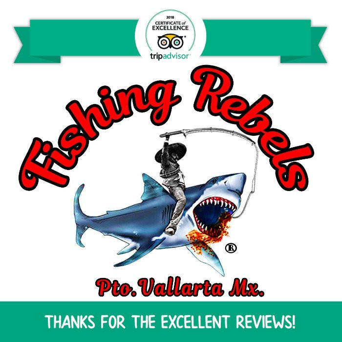 Fishing Rebels-瓦拉塔港必去景点