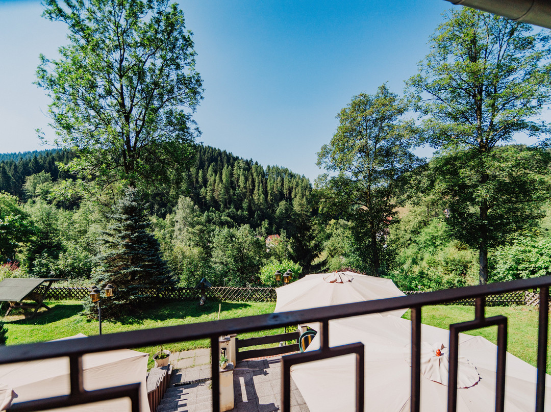 Pension Haus Vogelsang主图