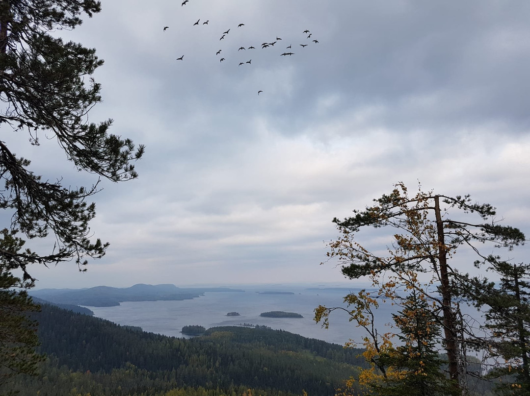 Makravaara Hill景点图片