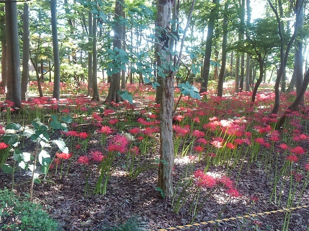 Soko-in Temple-松户市必去景点