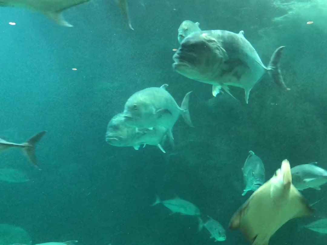 Wakayama Prefectural Museum of Natural History-海南市必去景点