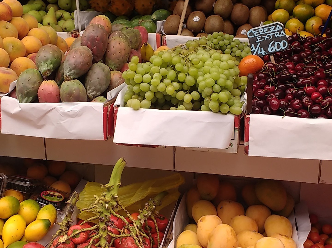 Lima's Drivers & Tours-利马必去景点