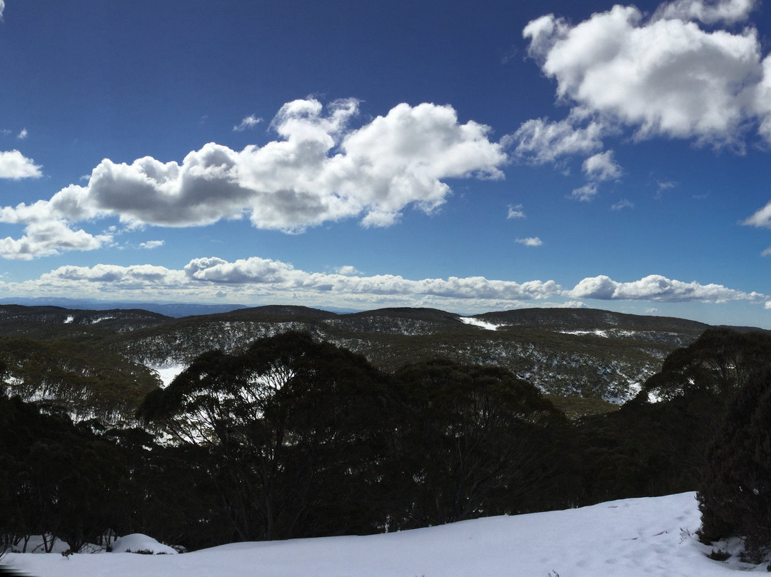 Mt Baw Baw Summit Walk-Mount Baw Baw必去景点