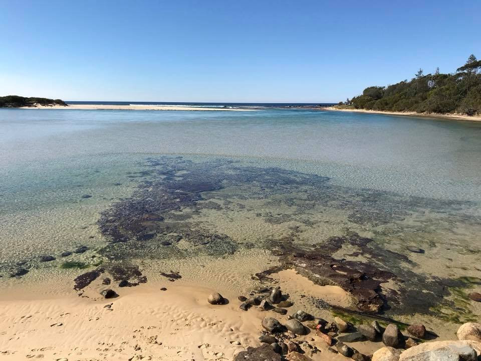 Dolphins Point Tourist Park