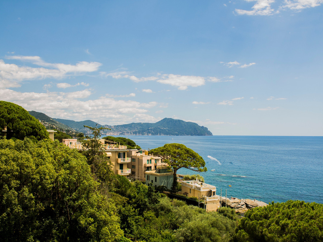 Hotel Villa Pagoda主图