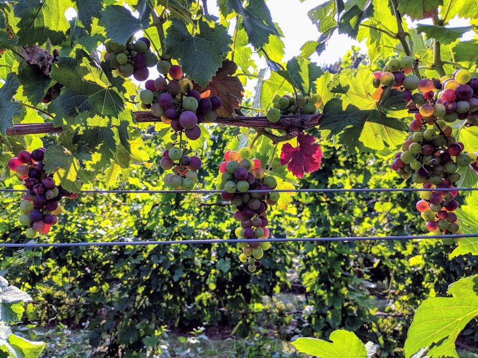 Moonrise-Watervliet必去景点