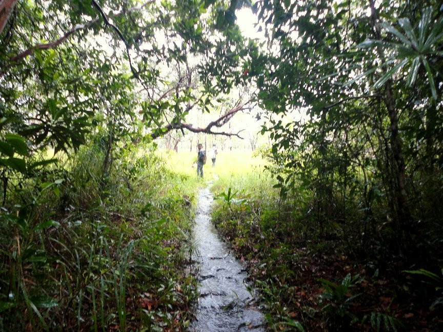 Tatai Waterfall景点图片