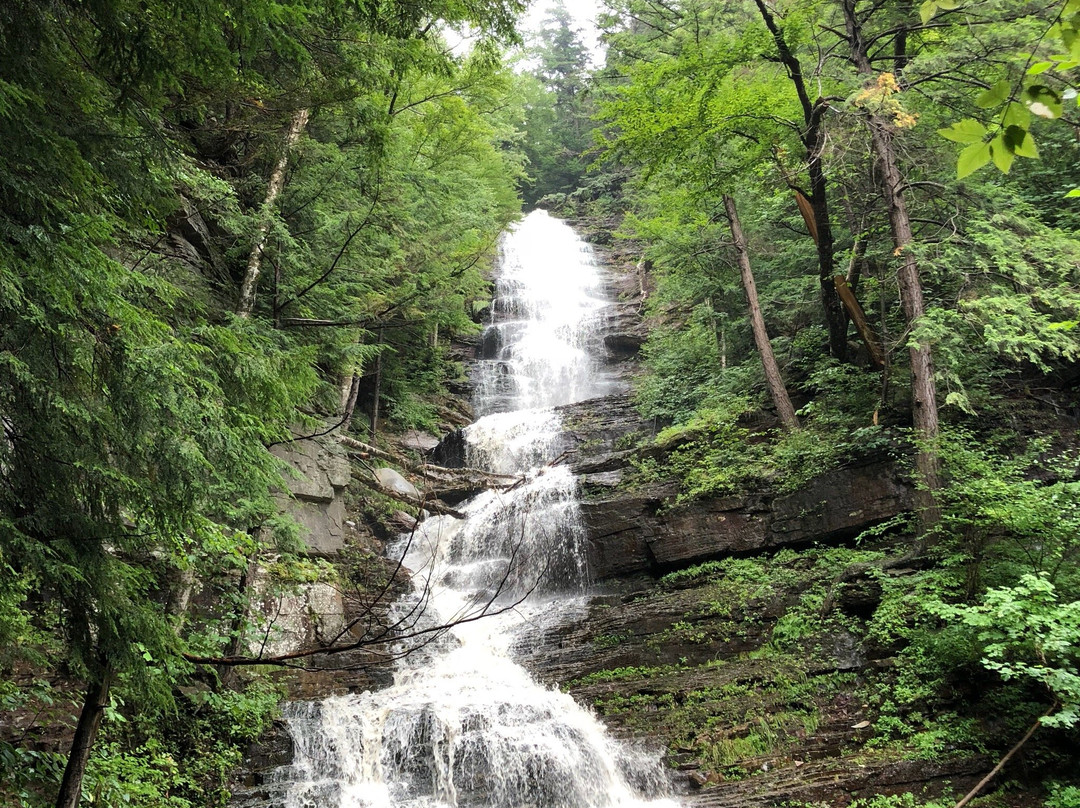 Lye Brook Falls景点图片