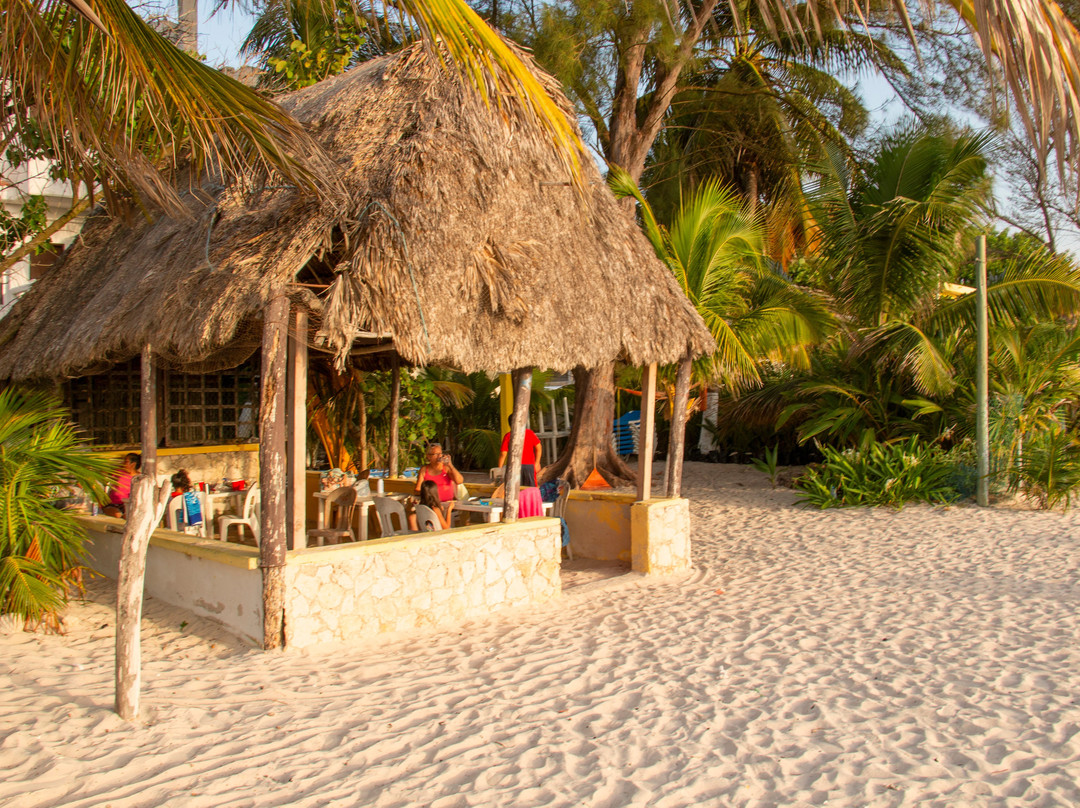 Hotel Maria del Carmen Celestun主图