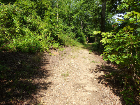 Rocky Branch Natural Area-Little Mountain必去景点