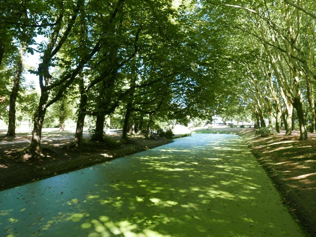 Schlosspark Schloss Strünkede景点图片