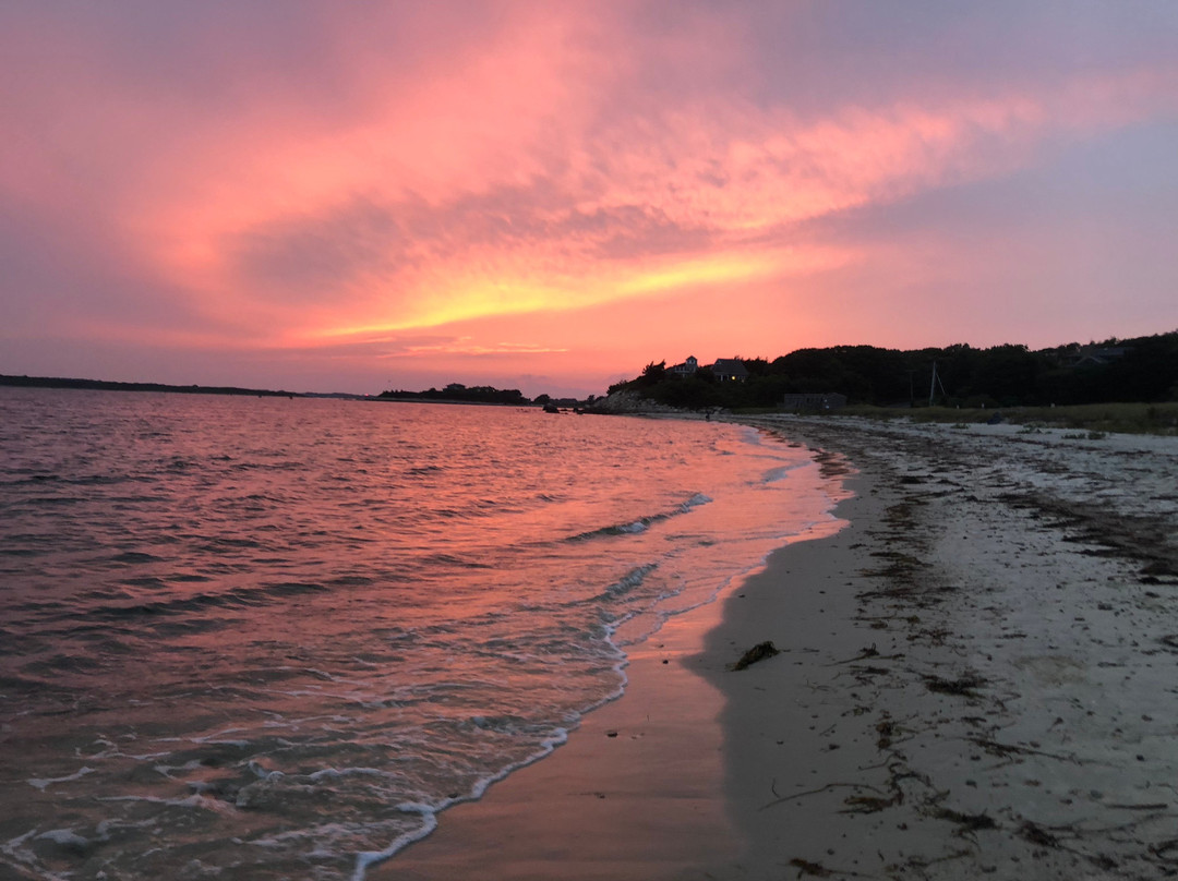 Treehouse Lodge主图