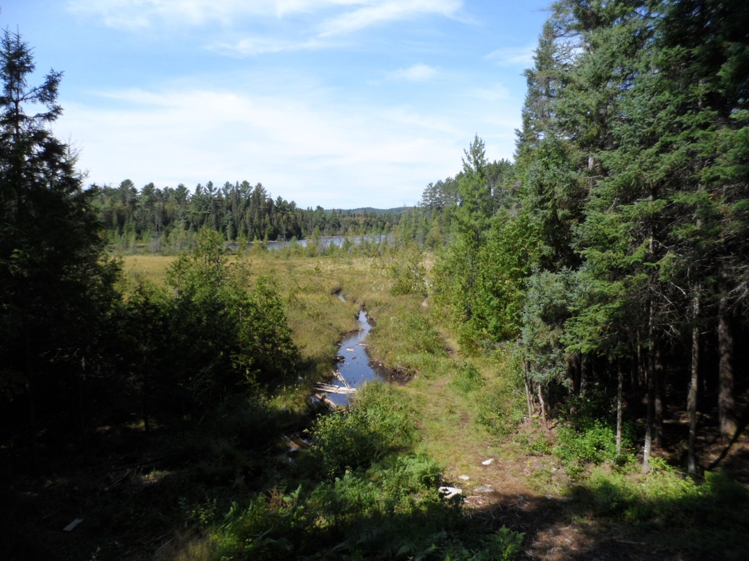 Brent Crater Trail-阿冈昆公园必去景点