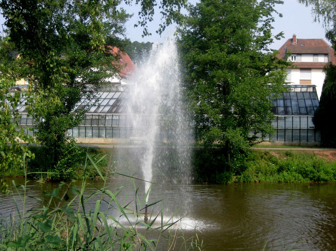 Kurpark Dahn-Dahn必去景点