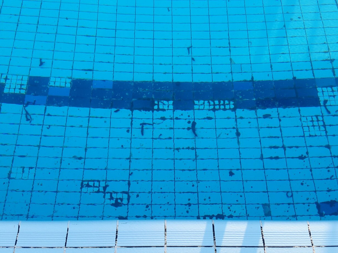 Thermal Bath Leanyfalu景点图片