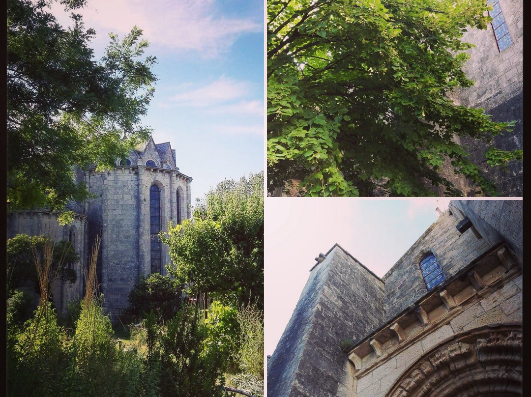 Abbaye de Vignogoul景点图片