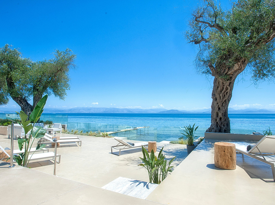 Airport Transfer Verona - Garda Lake - Private Driver - Luxury Limo Service NCC - Private Taxi-锡尔苗内必去景点
