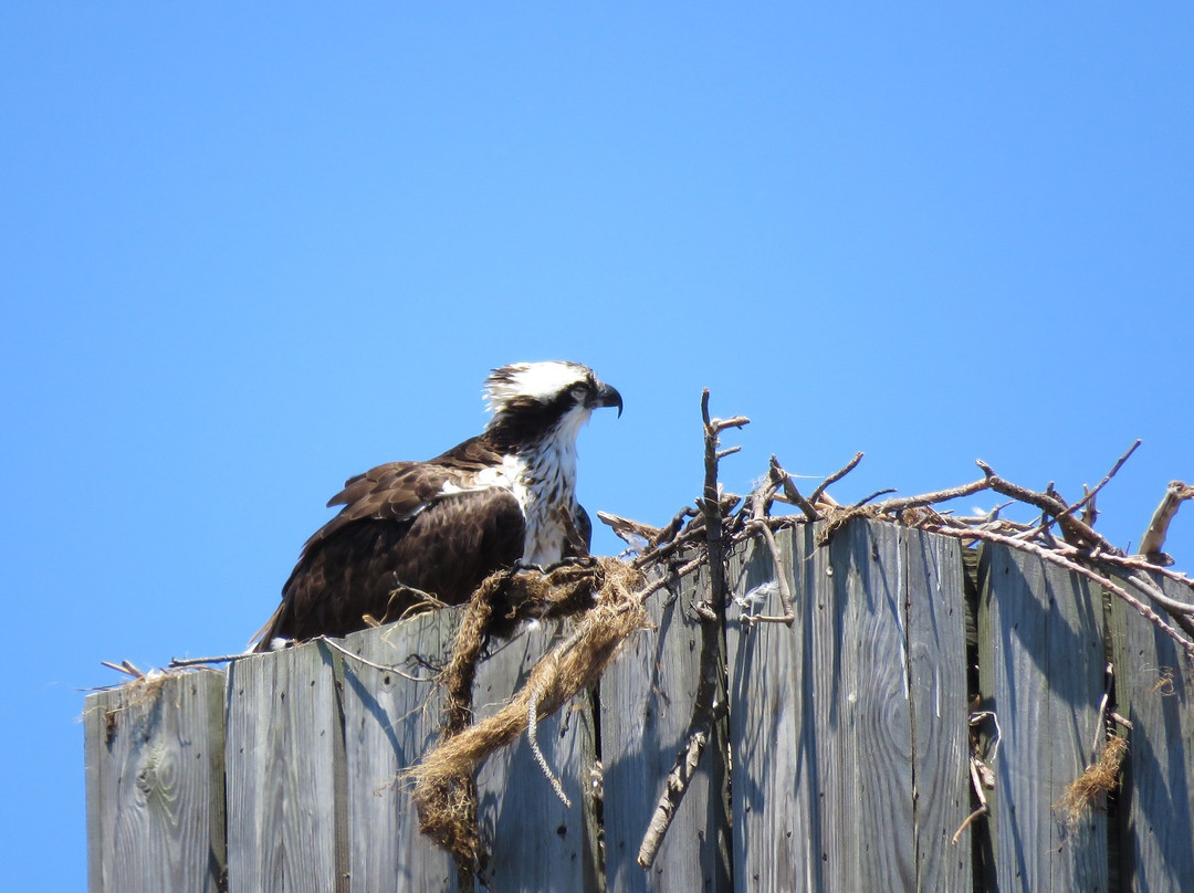 Piney Point Lighthouse Museum & Historic Park-Piney Point必去景点