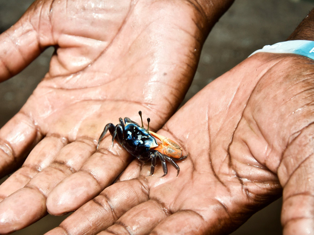 Kalu Safari Kenya-瓦塔木必去景点