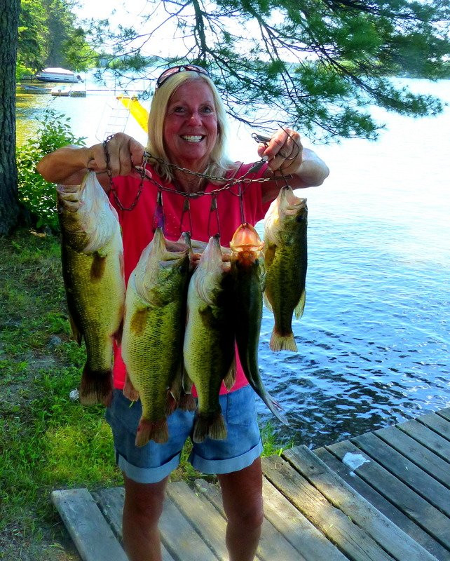 Timberlane Resort主图