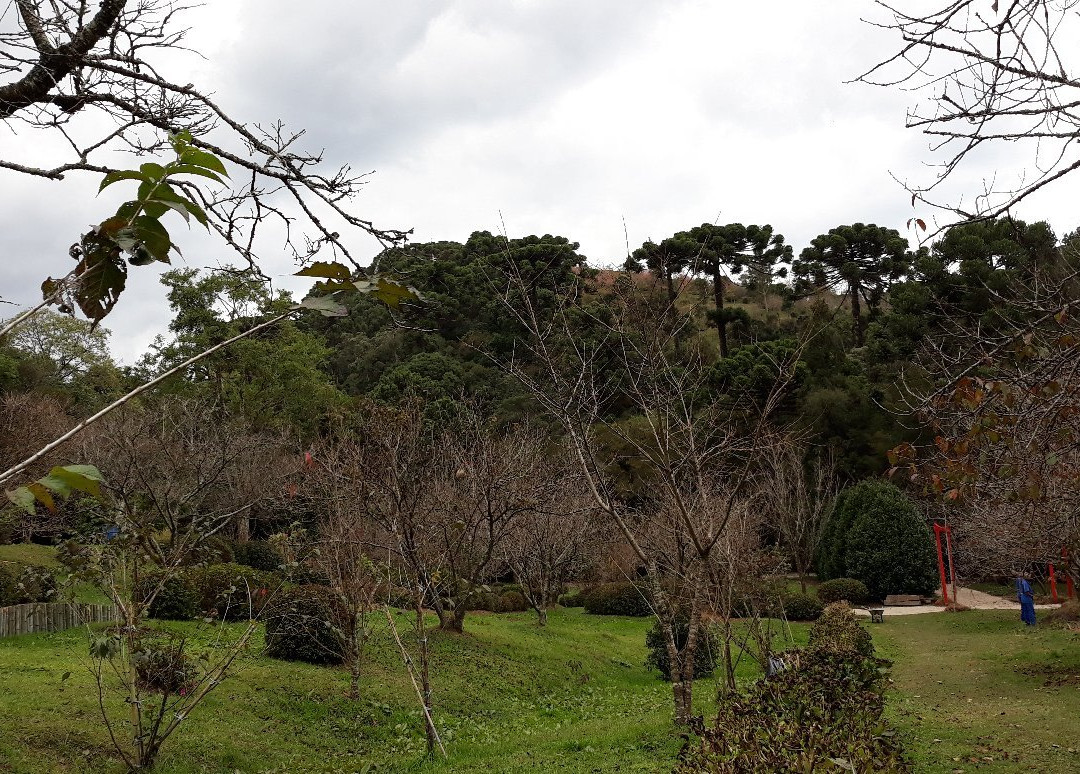 Parque das Cerejeira景点图片