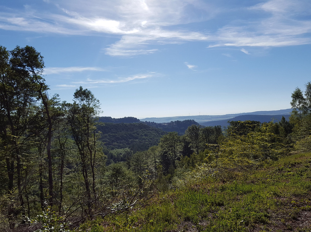 Gastehaus Burghof Stauf主图