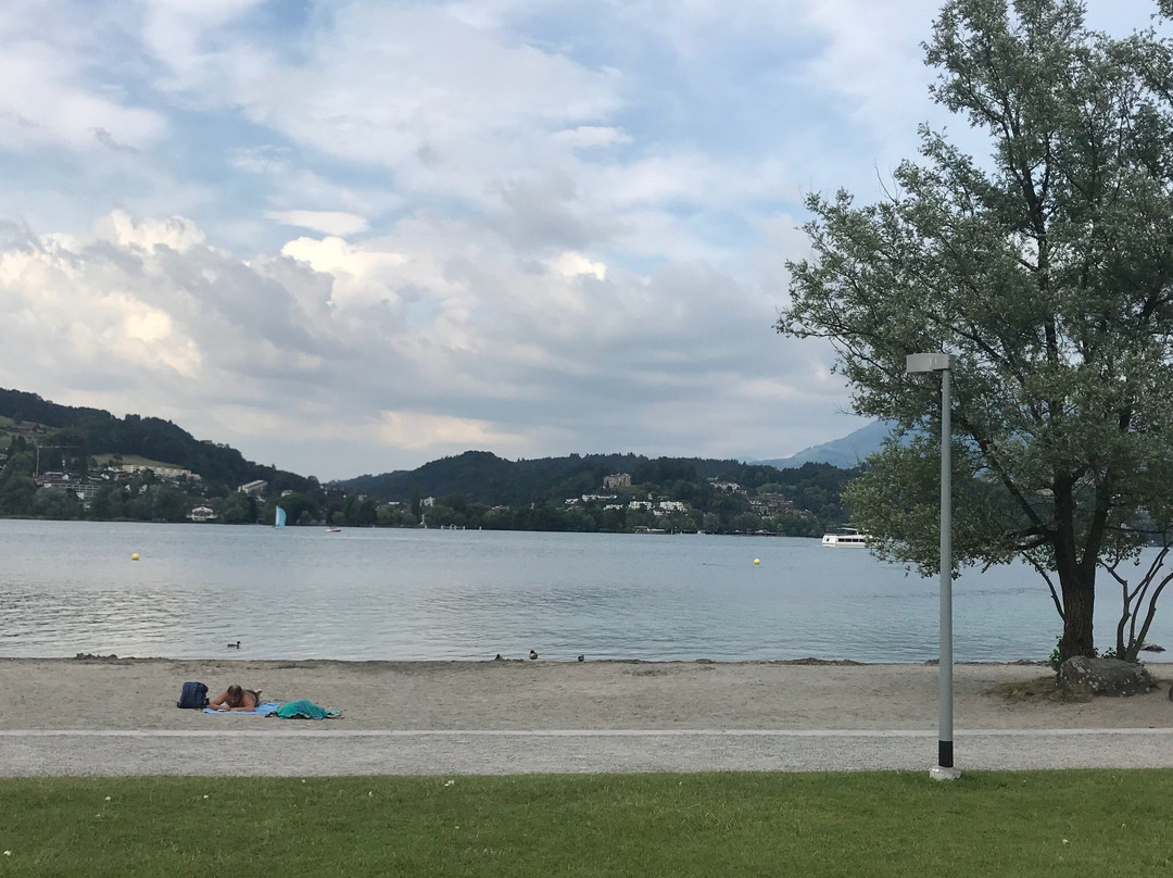Ufschötti Park-卢塞恩必去景点