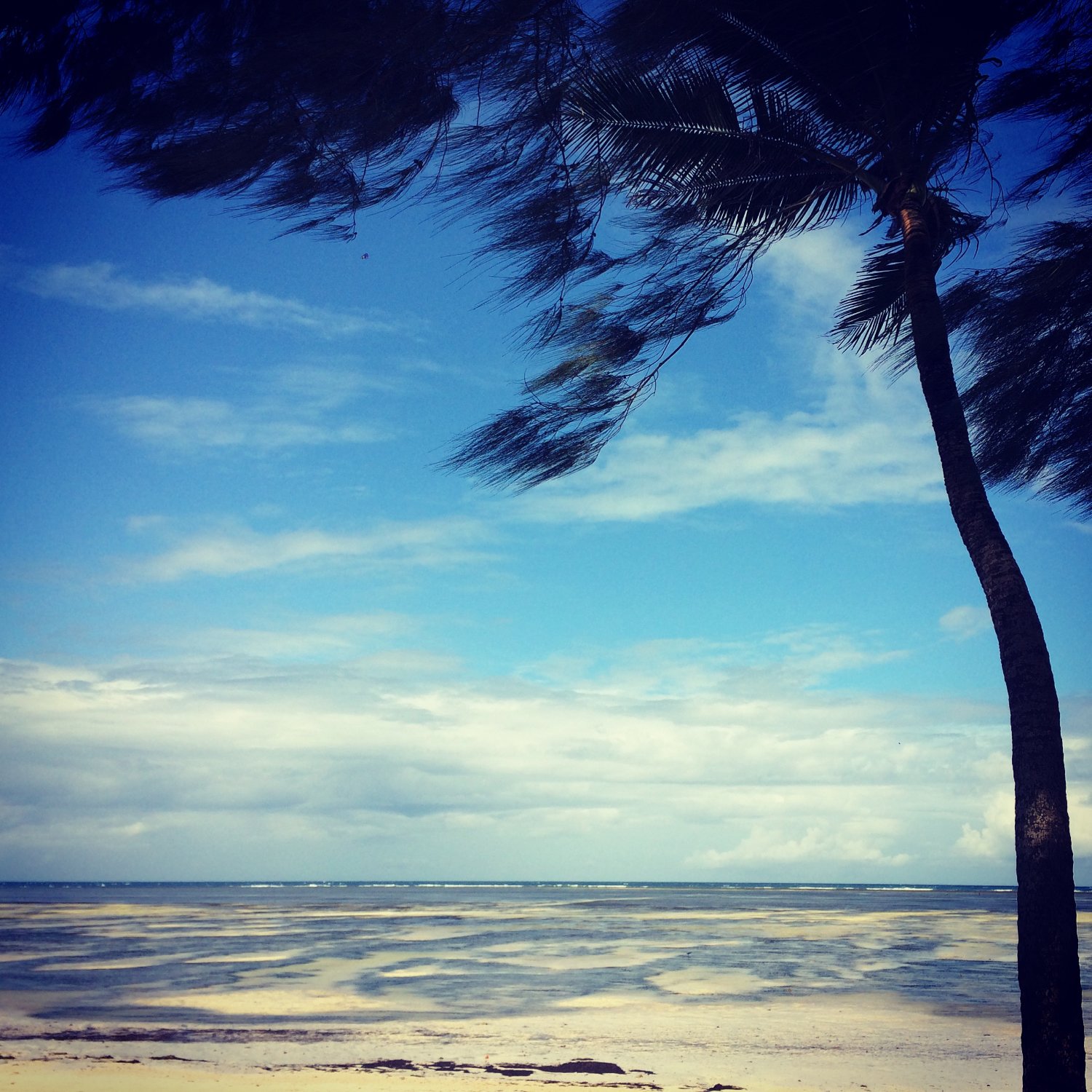 Jumuia Conference & Beach Resort-泳池