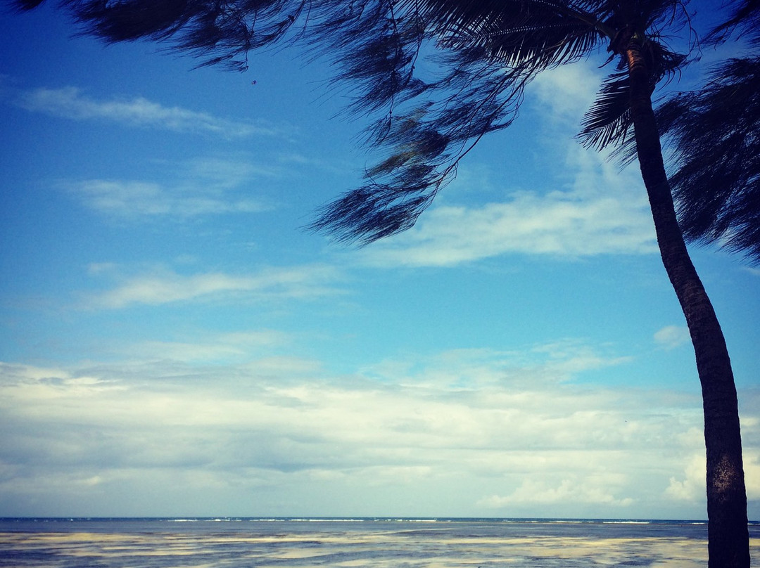 Jumuia Conference & Beach Resort主图