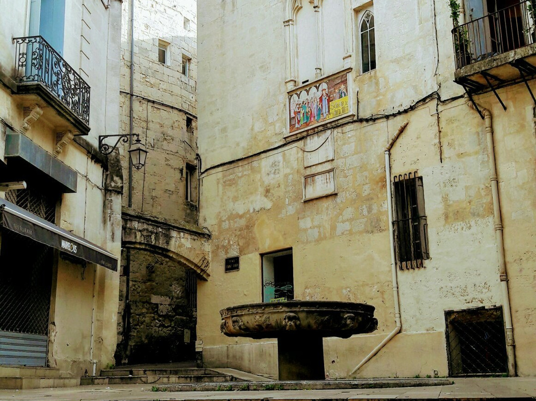 Citadelle-蒙彼利埃必去景点
